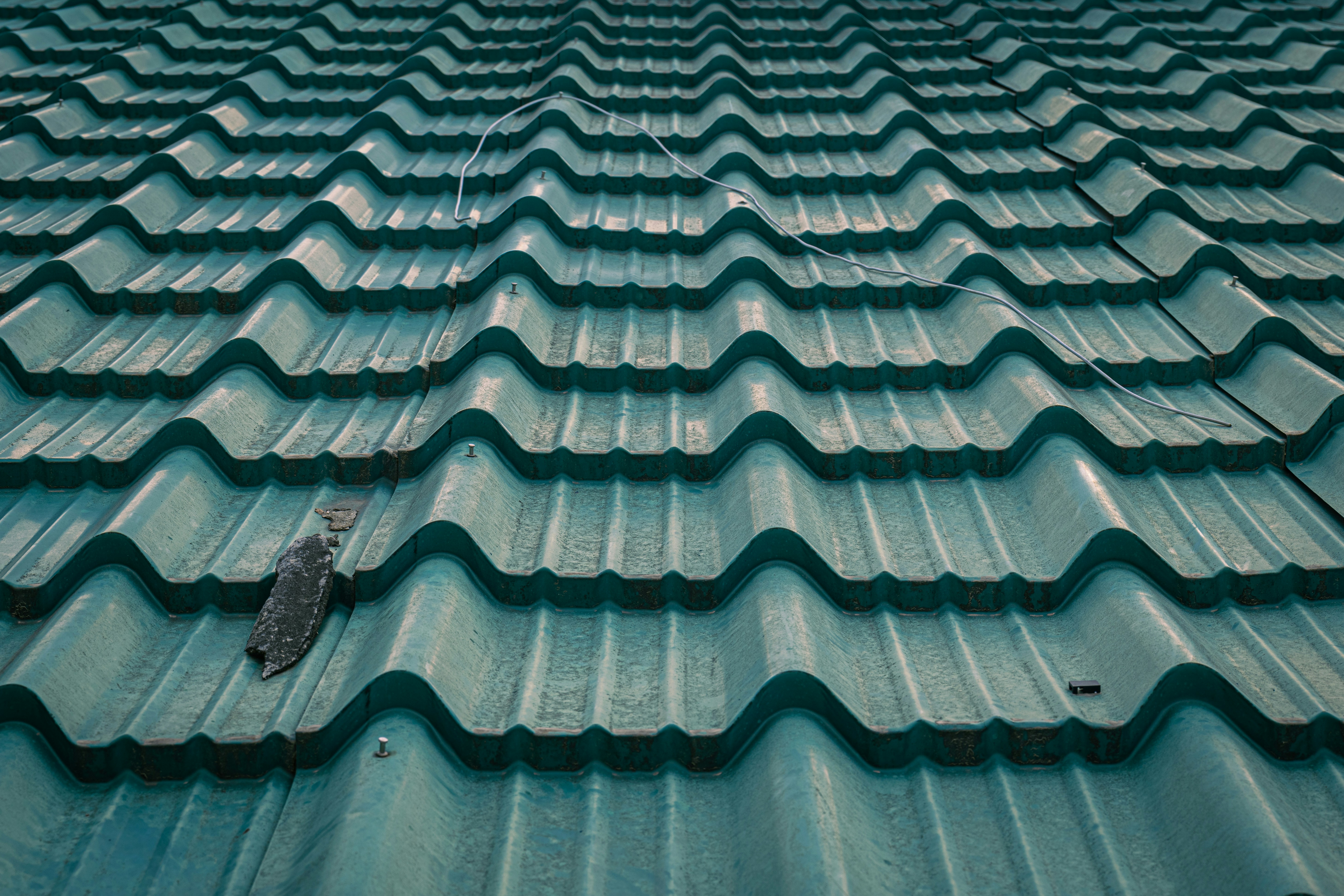 the roof of a building with a bird on it