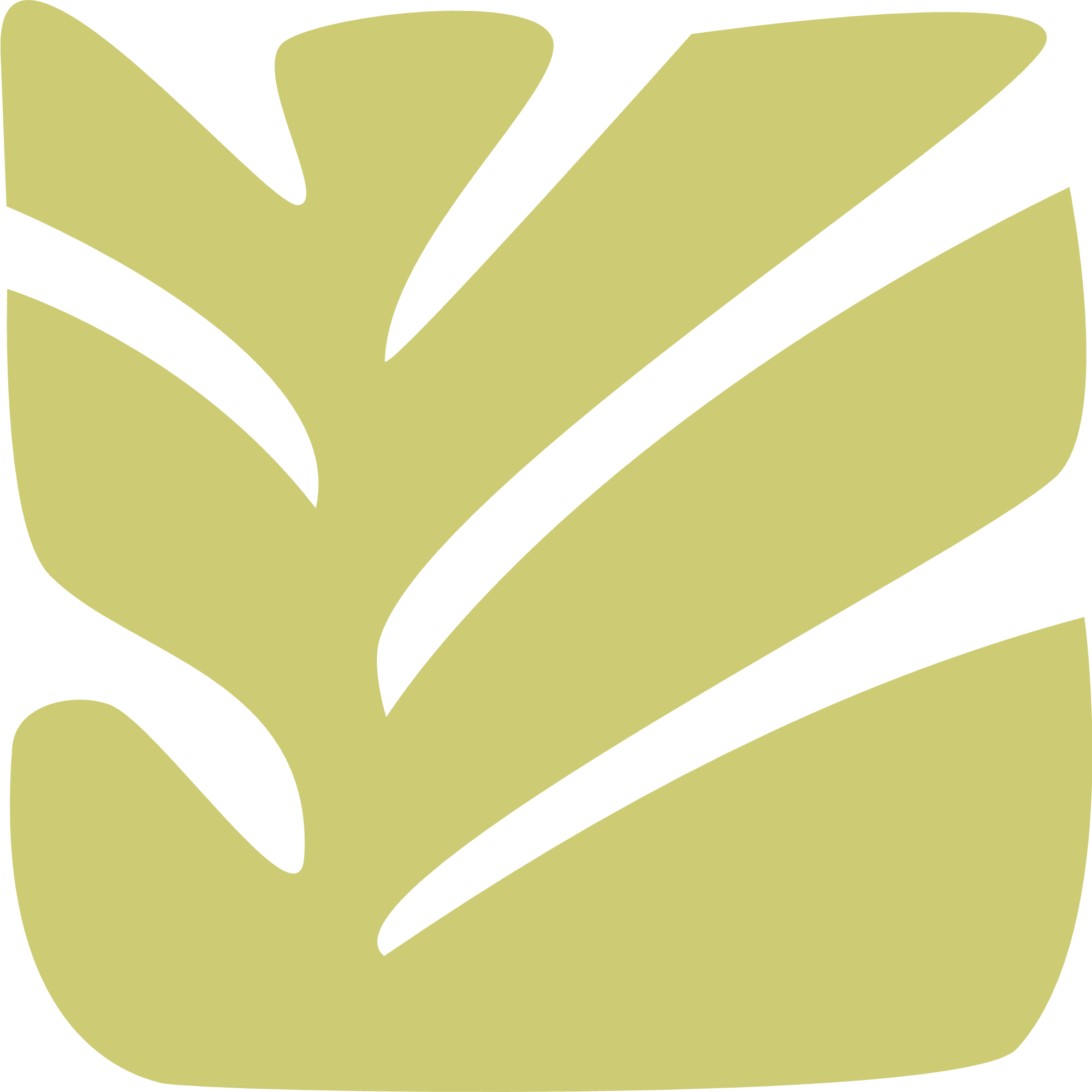Leaf Illustration