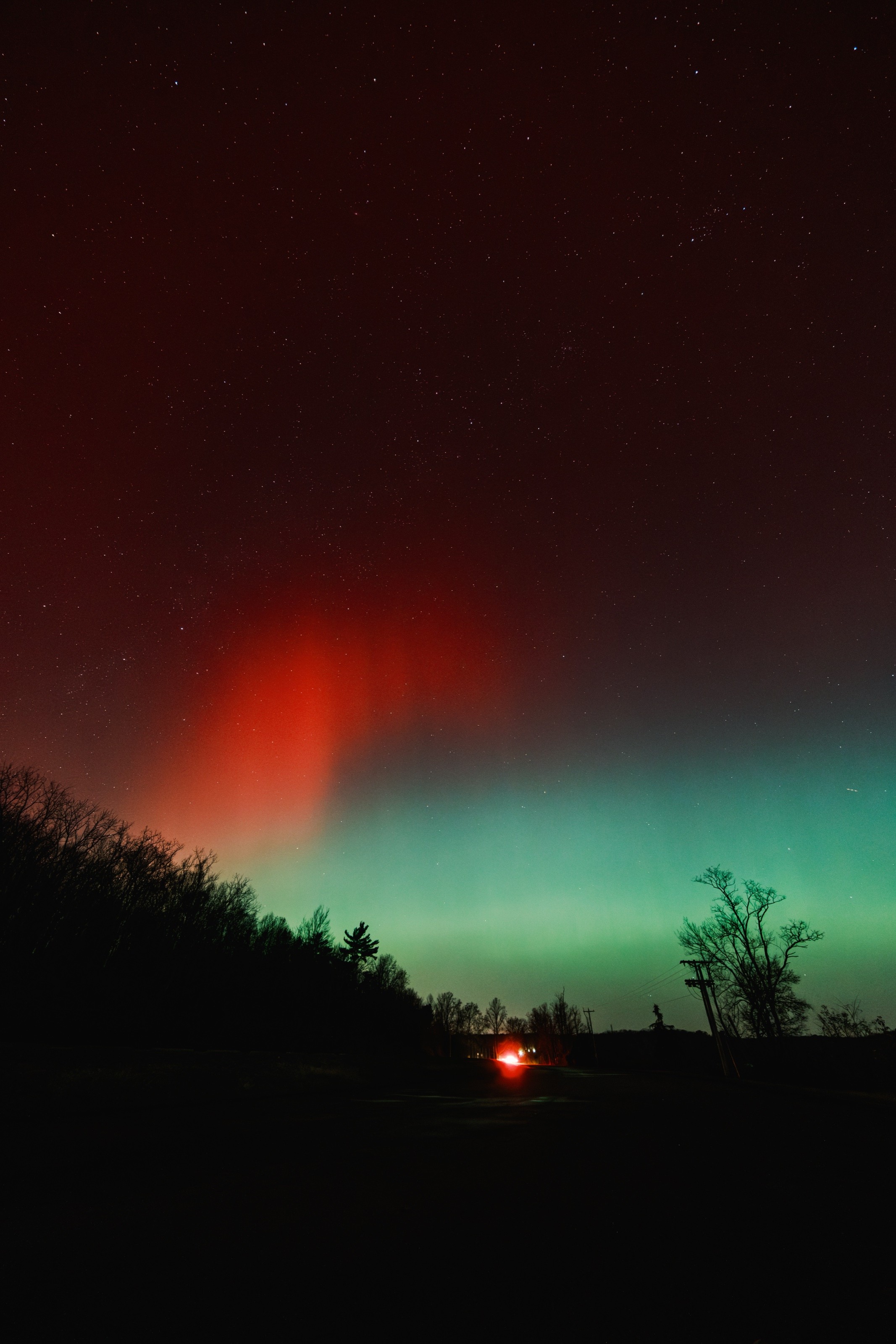 Northern lights tree line