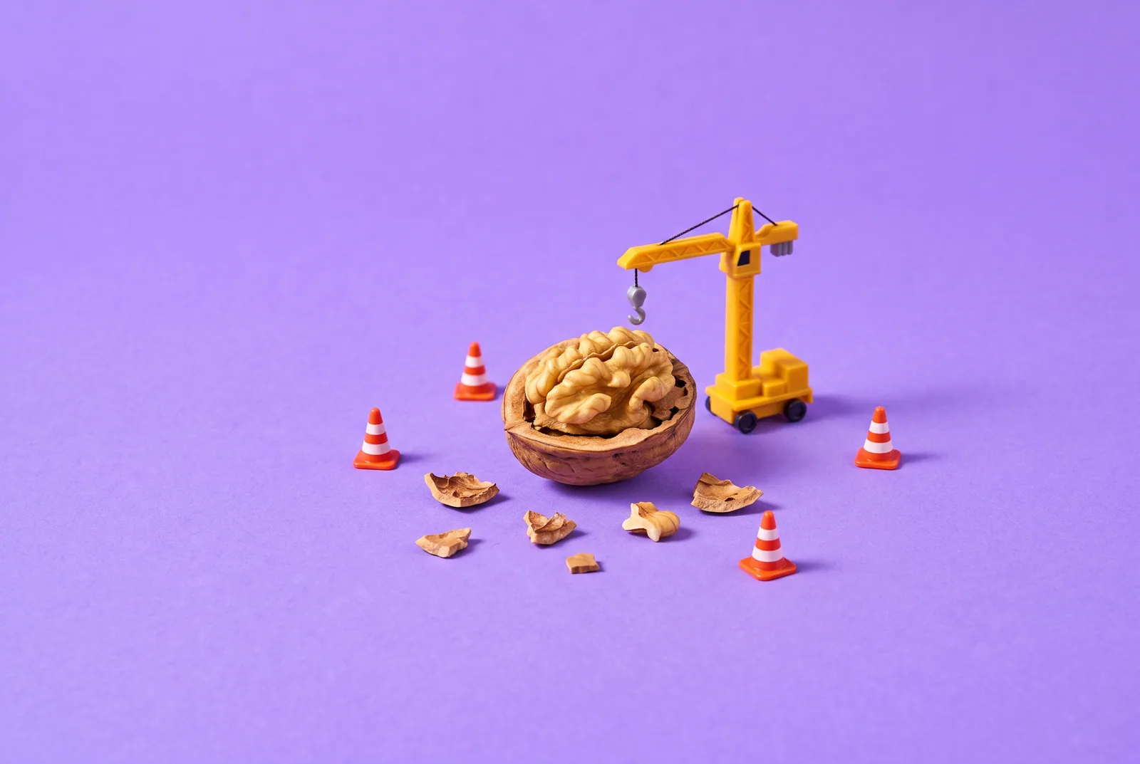 A cracked walnut surrounded by toy cones and a crane, why it's hard to quit porn as a teenager while your brain is still growing