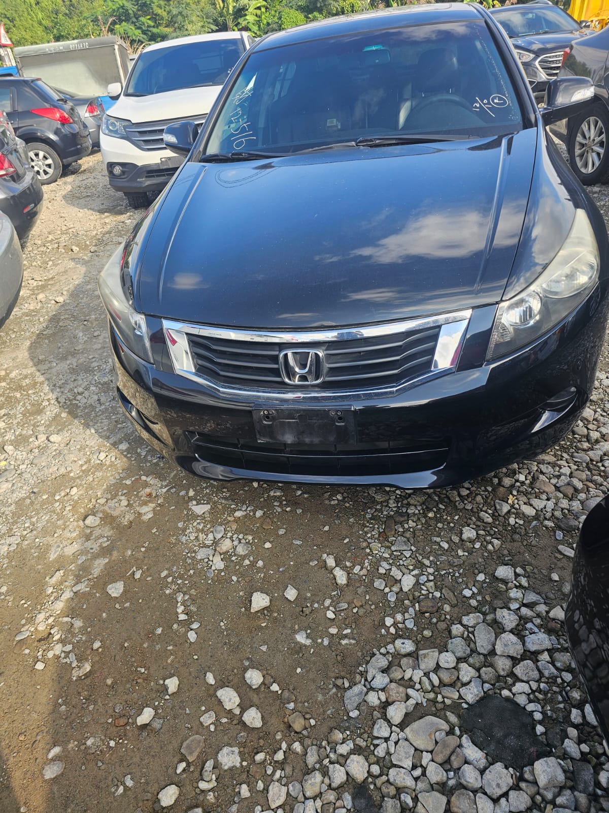 Used Lexus for export