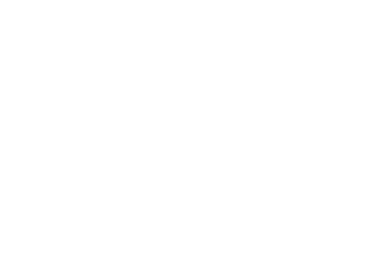 VirginieT Logo White