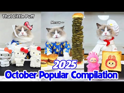 Thumbnail of a recent video from creator