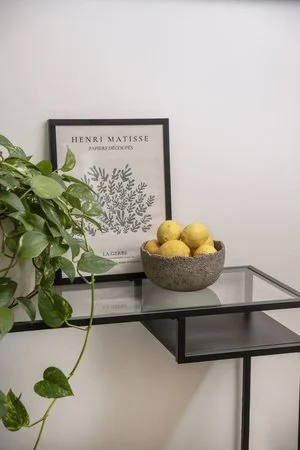 Project Oblique Reception Photograph