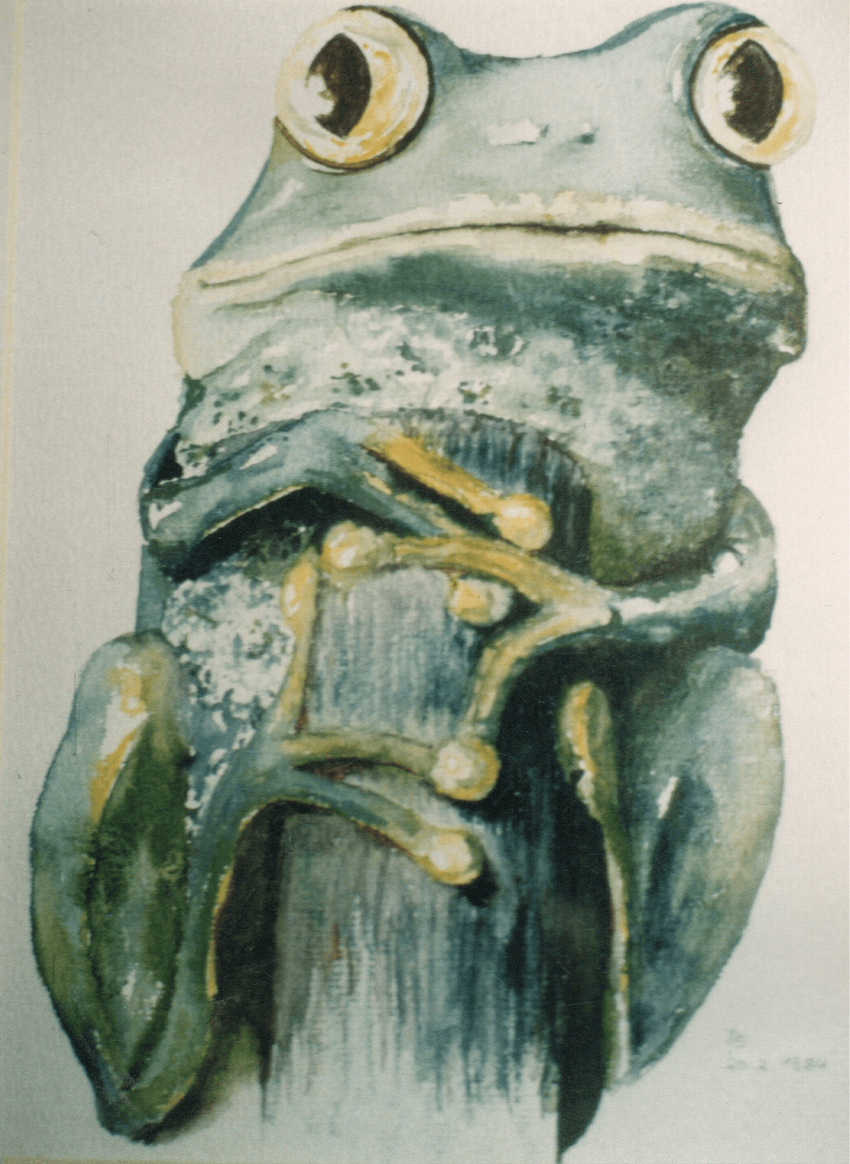 Frog