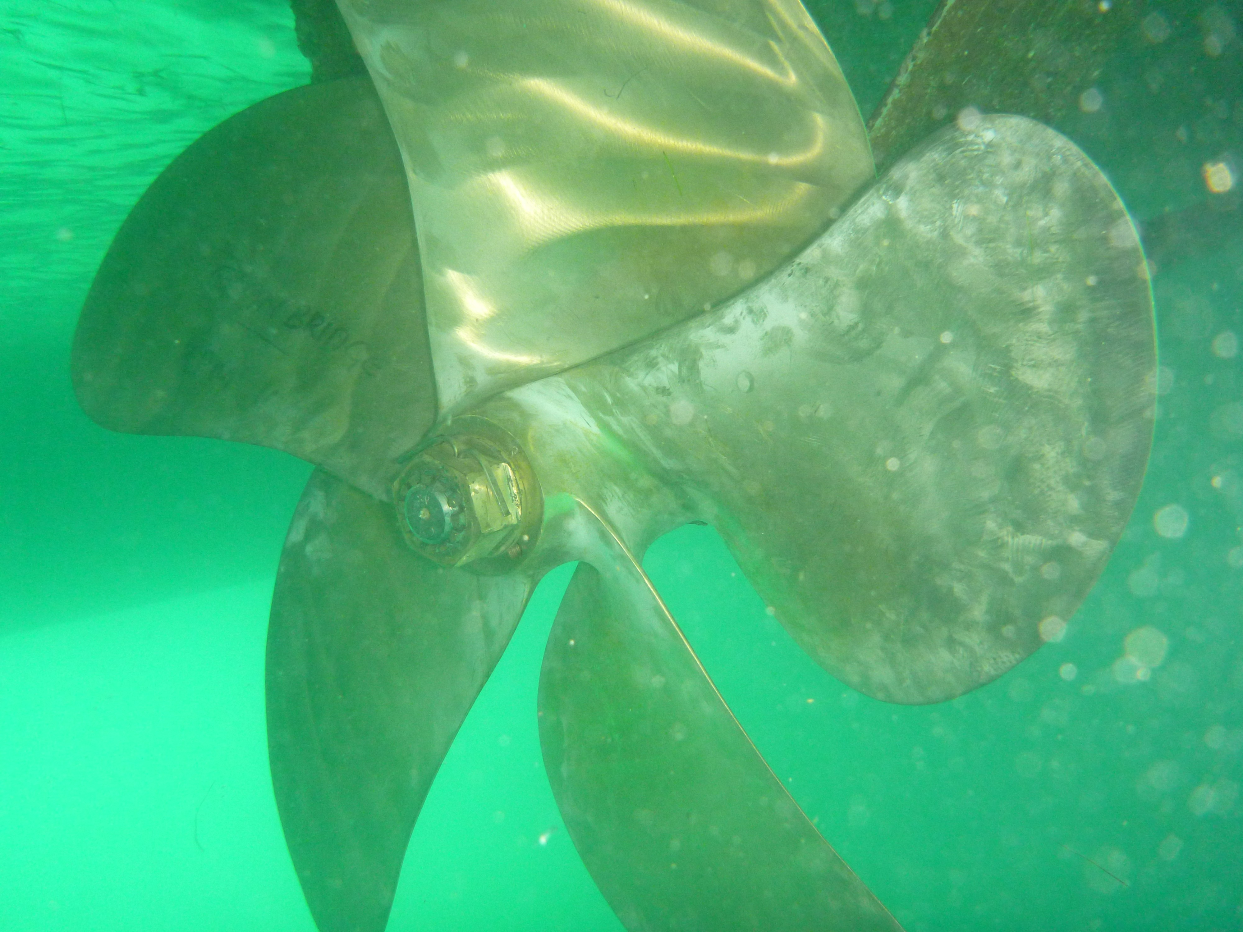 photography of two persons underwater