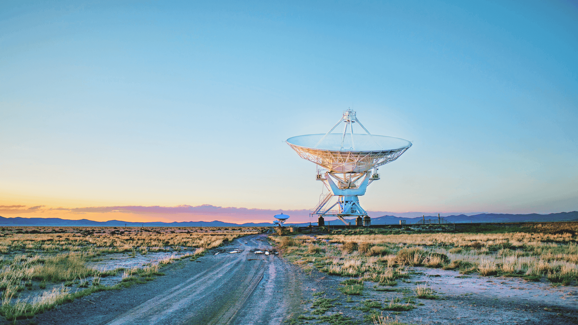 Large radio telescope dish on open grassland at dusk, gravel track leading toward it under pale sky
