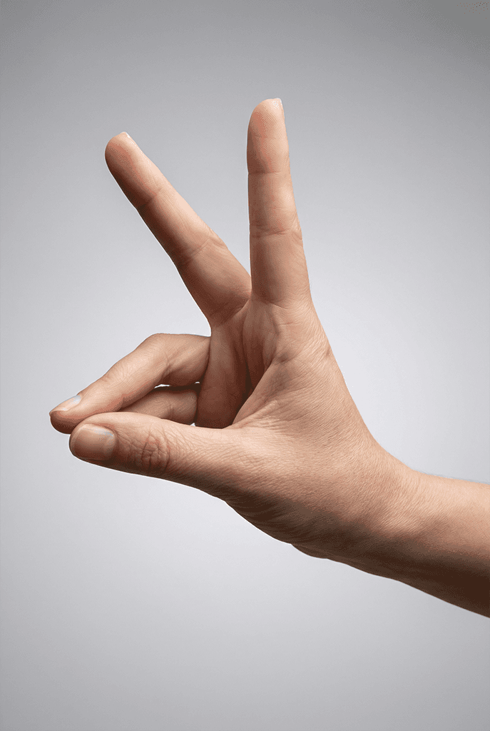 Šaka pokazuje oblik zeca