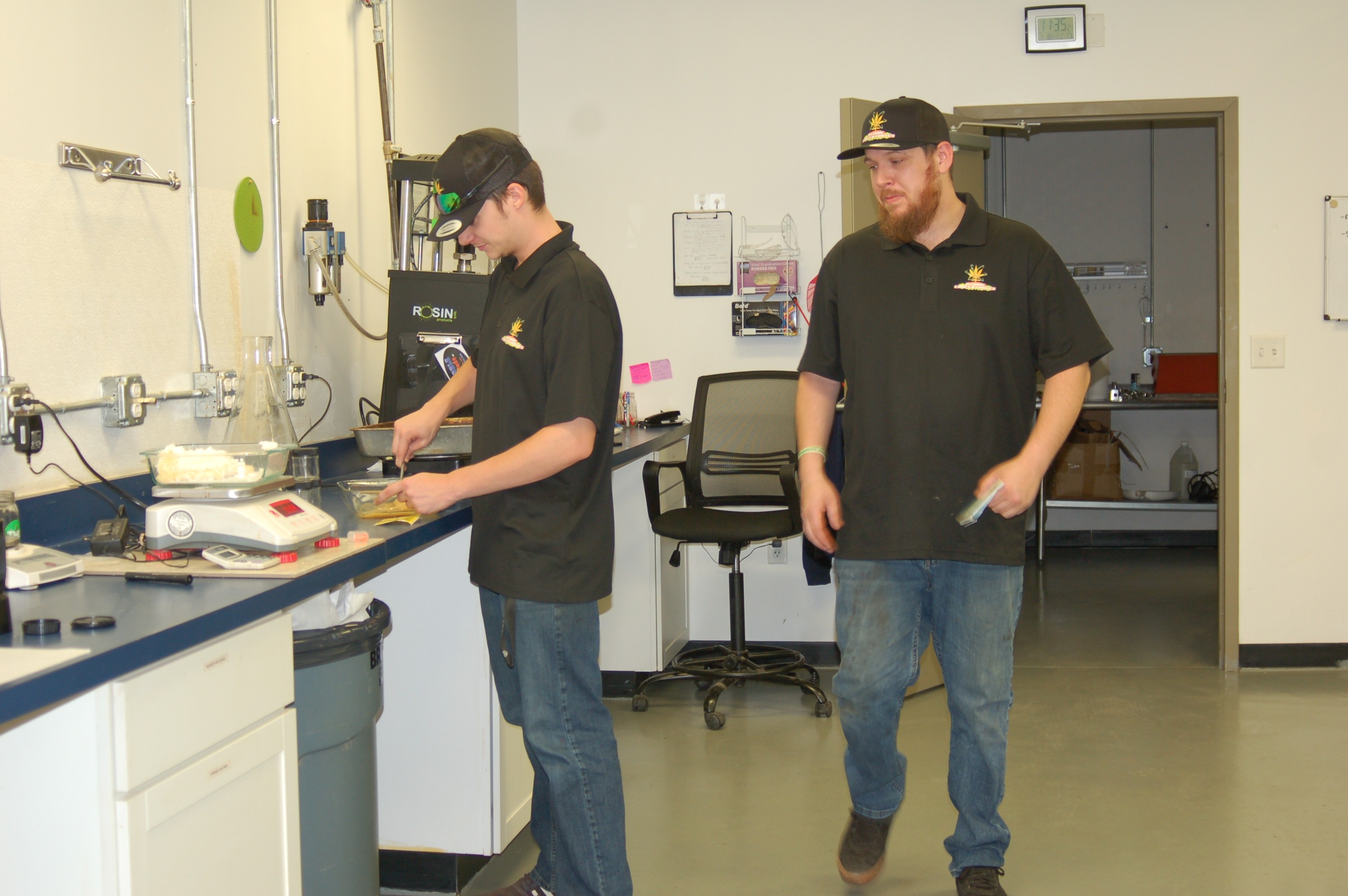 Working Image