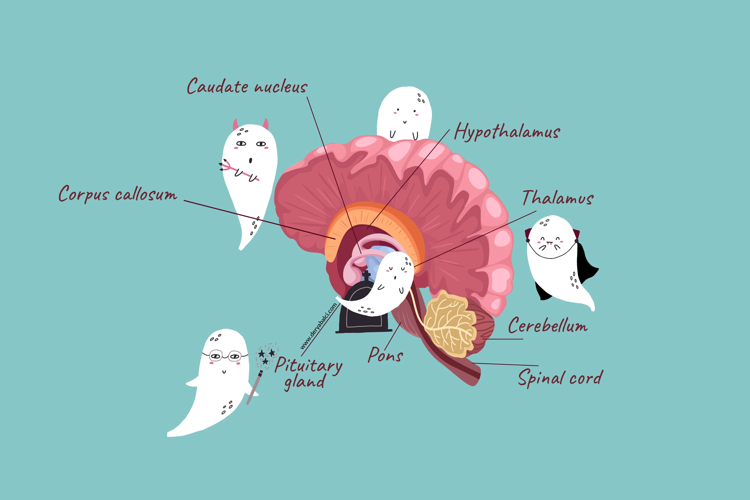 Brain Ghosts