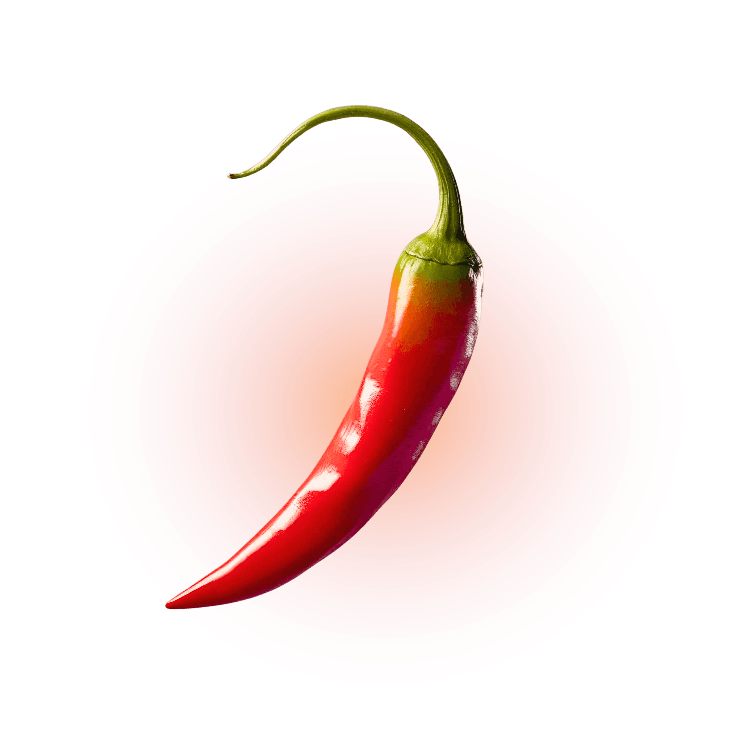 Woman In The Glass Way