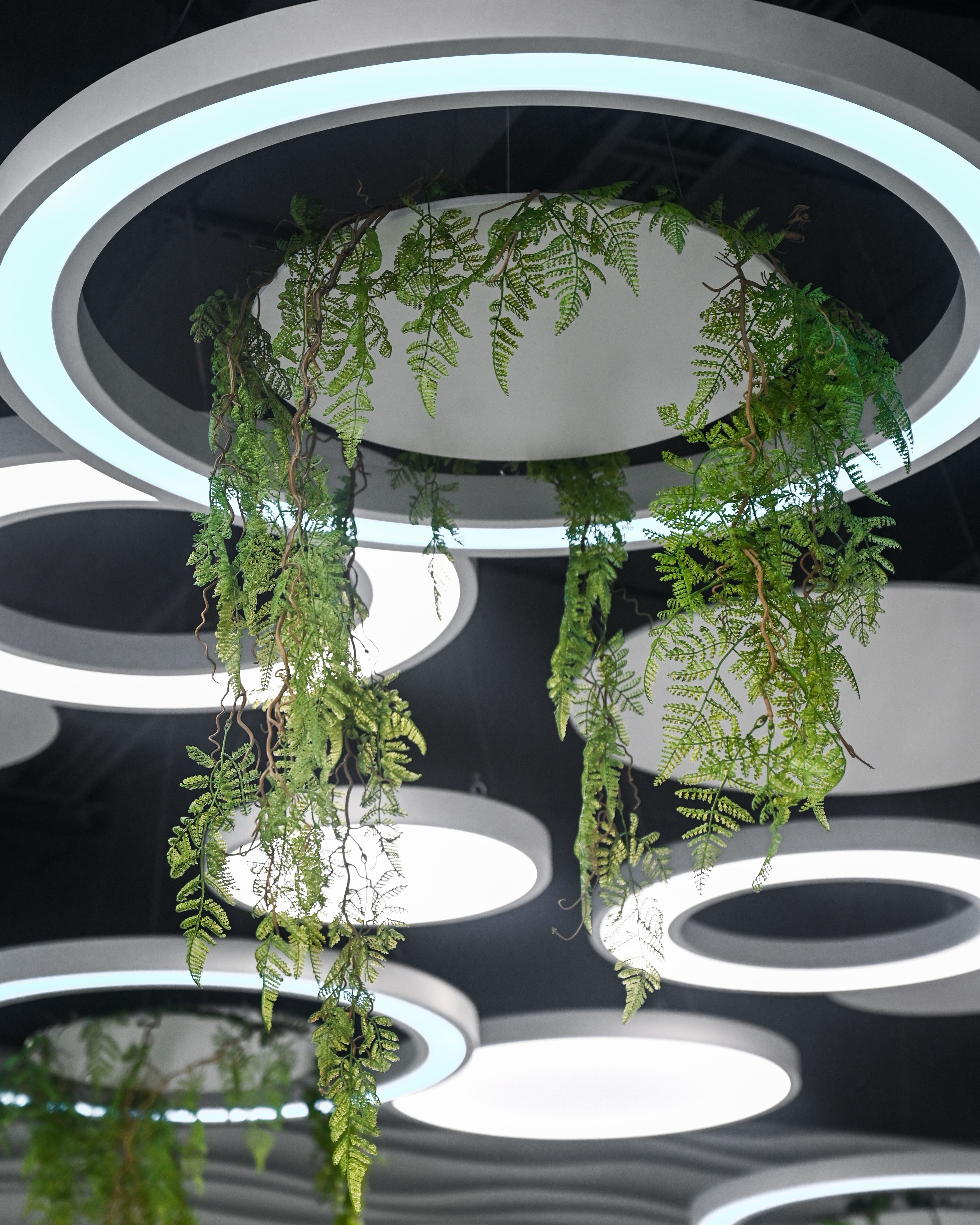 Circular LED ceiling lights with plants hanging down from them