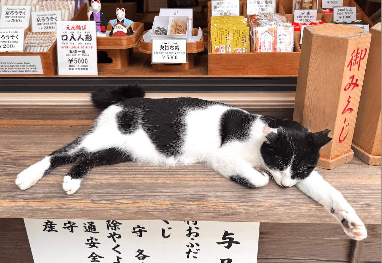 The image featured in the middle of the about us page