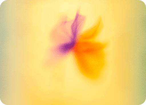 Interfaz de Enriquecimiento en Leadflow