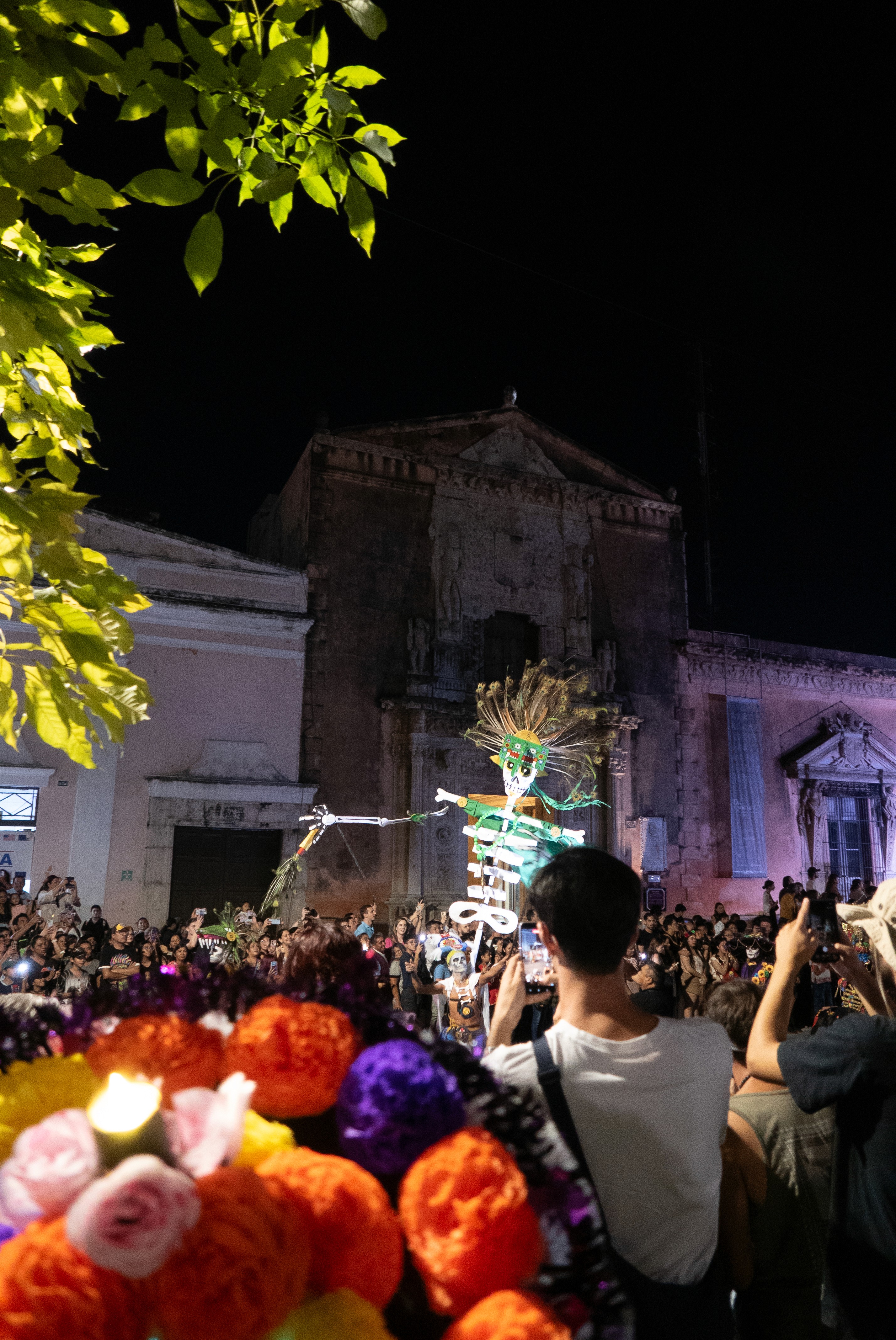 Image 12