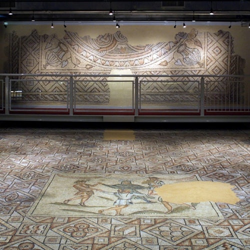 The mosaics on the floors of the domus