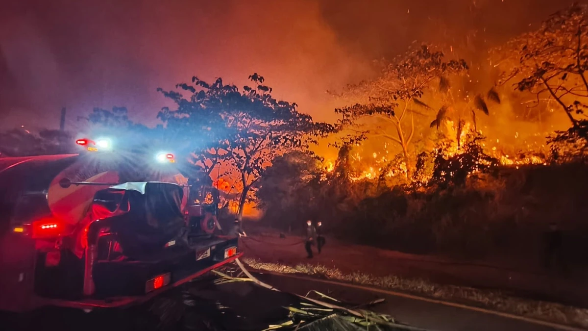 Incendios forestales mantienen en alerta al Tolima 12horastv