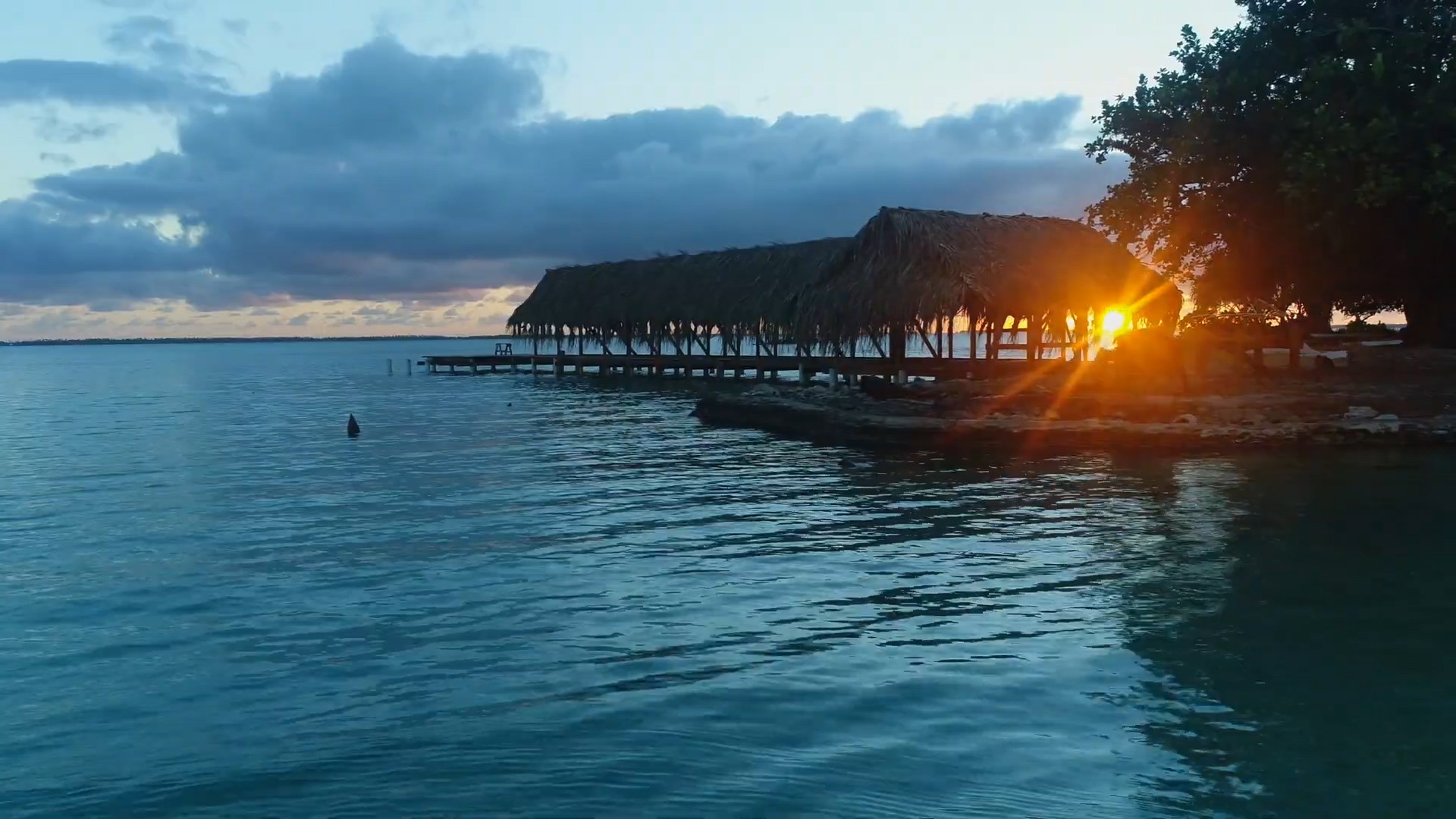 woman holding a phone and man looking at the phone. both are smiling
