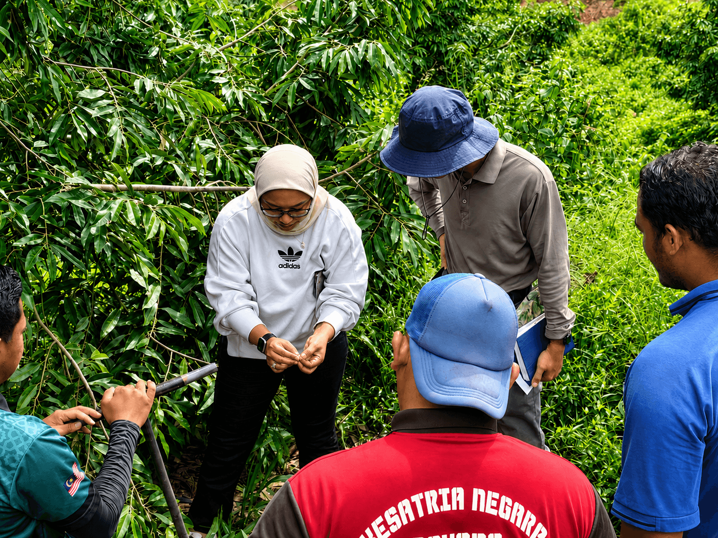 PRESICA field specialist demonstrating soil diagnostic equipment in a tropical crop block