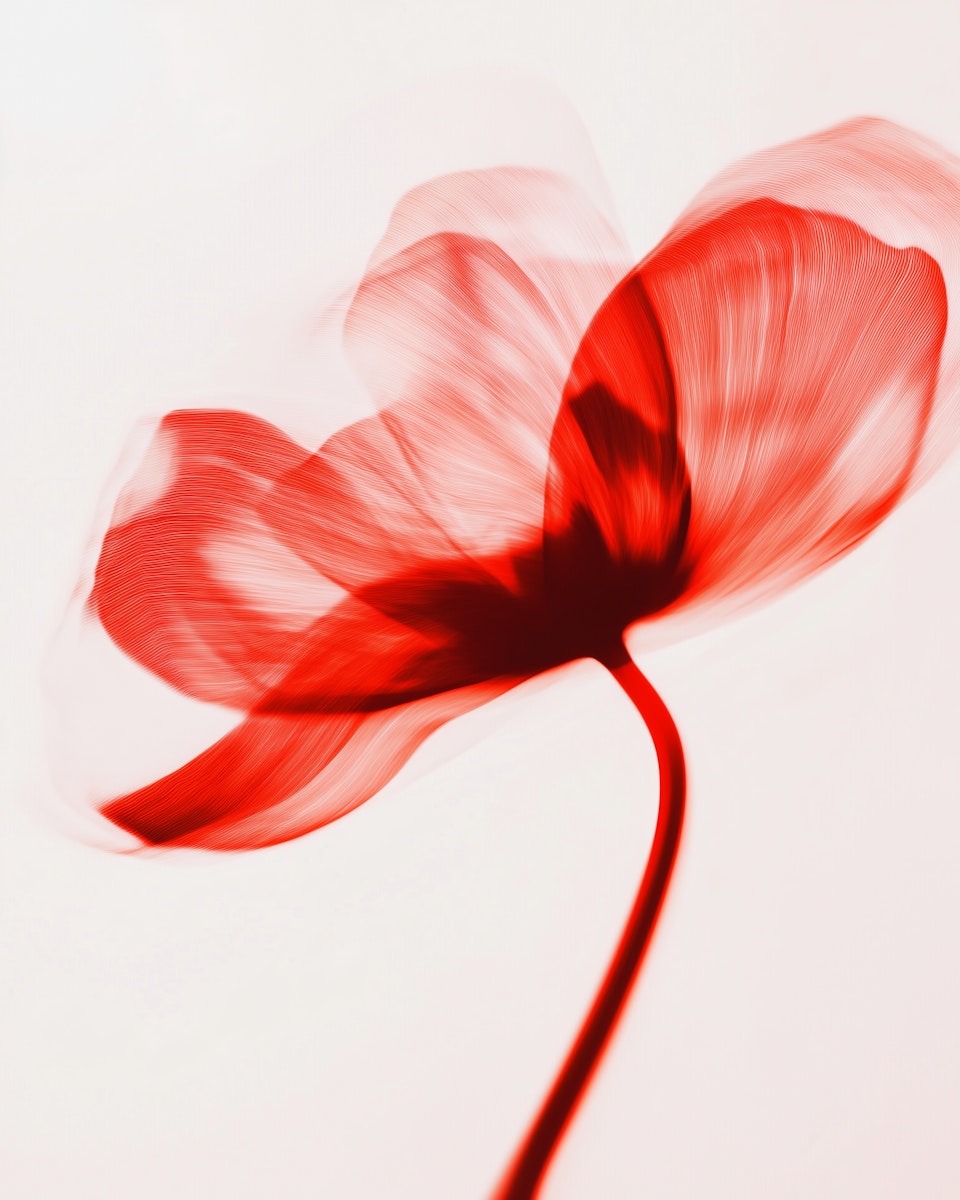 Red abstract flower in soft motion blur, reflecting creativity and artistic emotion in the Frysta Framer Template by Orbitx Supply.