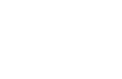 linq partner perdue