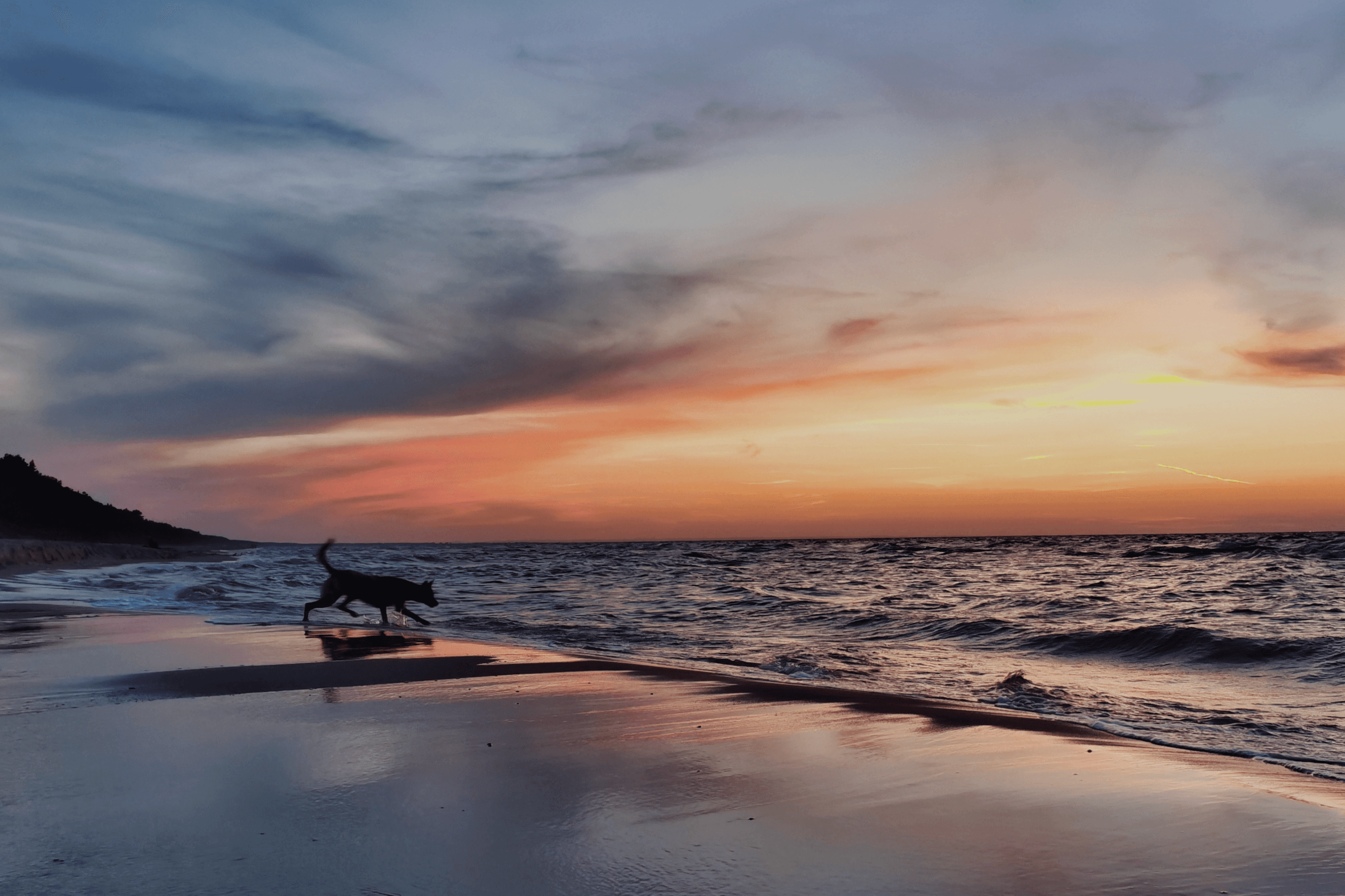 Friends laughing and posing inside a car