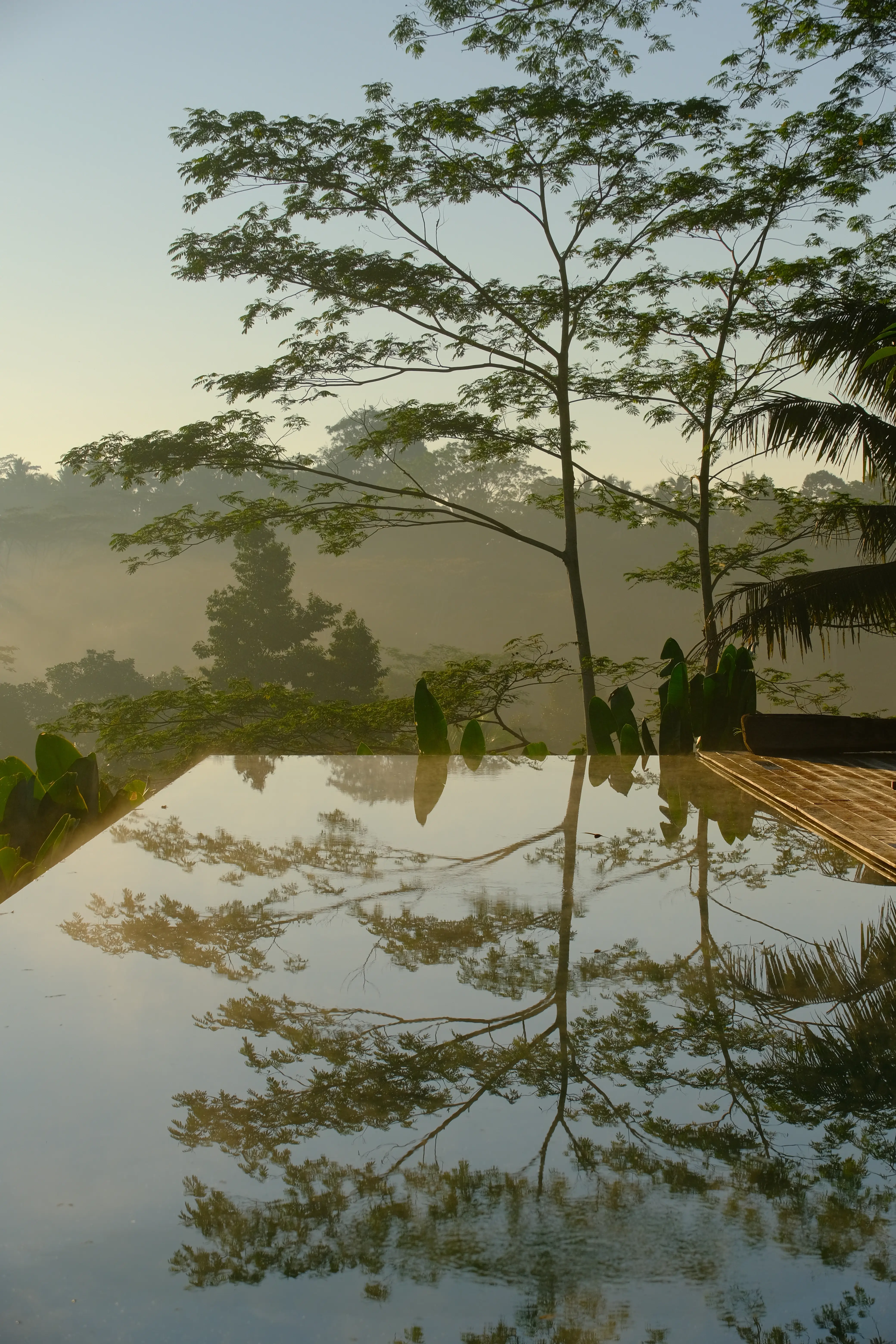 pool and garden at sunrise rumah subak