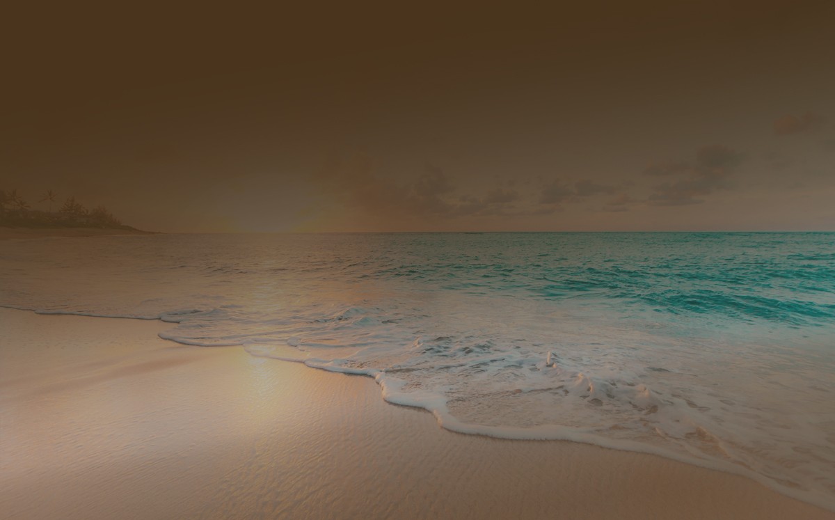 Hero image – hands and coffee cup