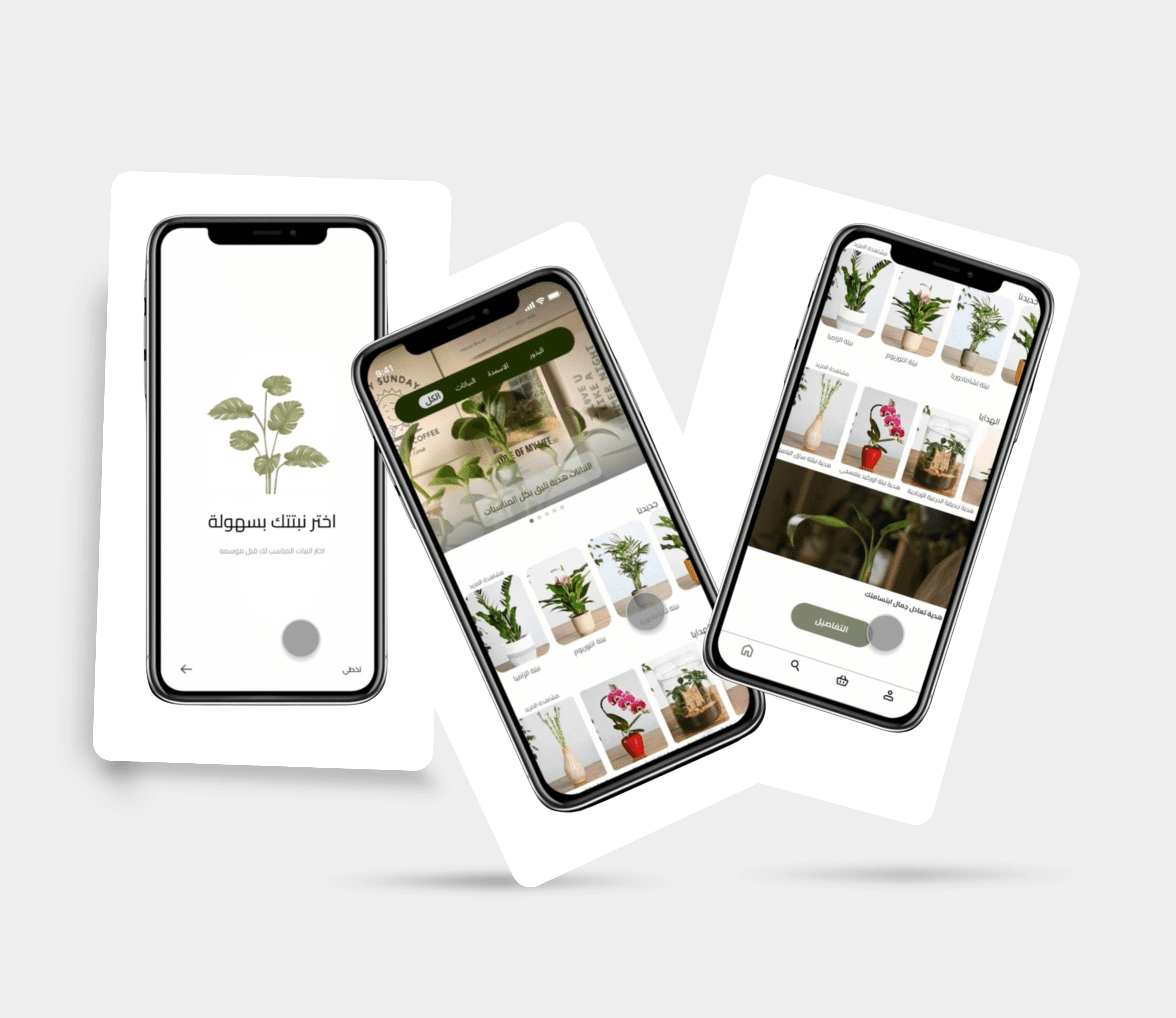 Feedback & Refinement