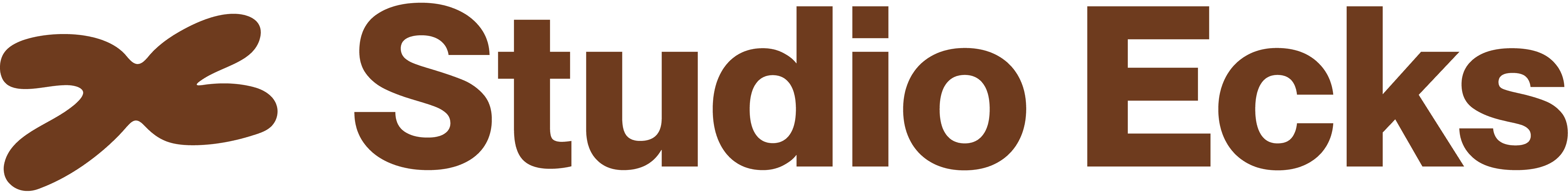Studio Ecks Logo