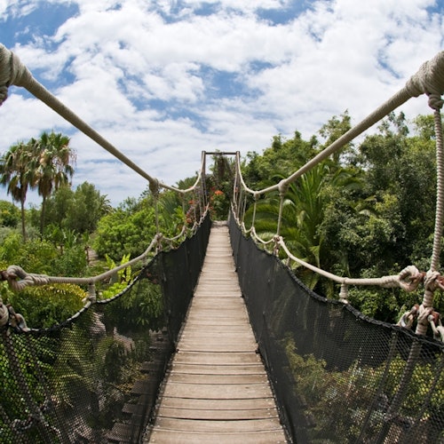 Uma ponte pênsil com tábuas de madeira e corrimões de corda se estende sobre uma paisagem tropical exuberante e verde sob um céu parcialmente nublado.