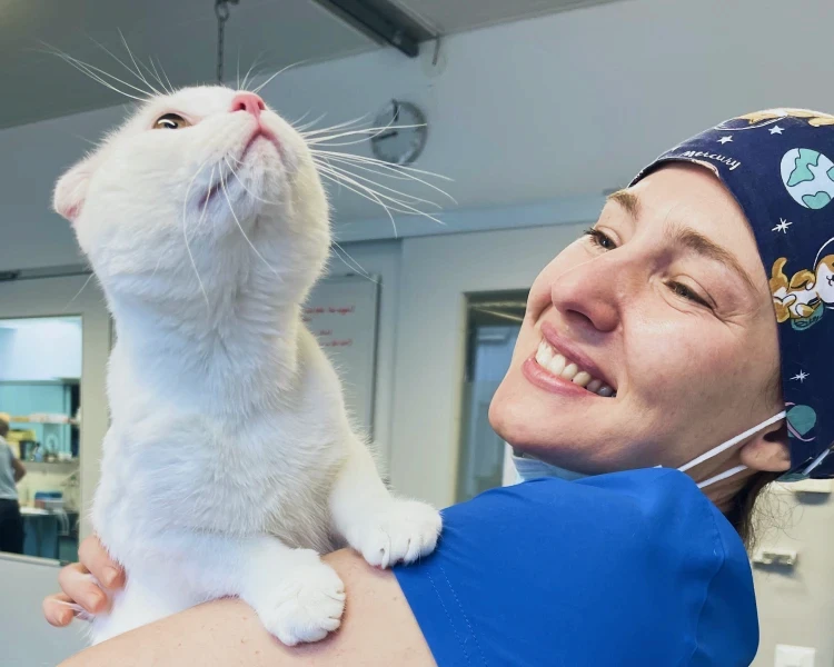 Dr. Eva Gasymova hält liebevoll eine weisse Katze auf dem Arm in der Tierarztpraxis.