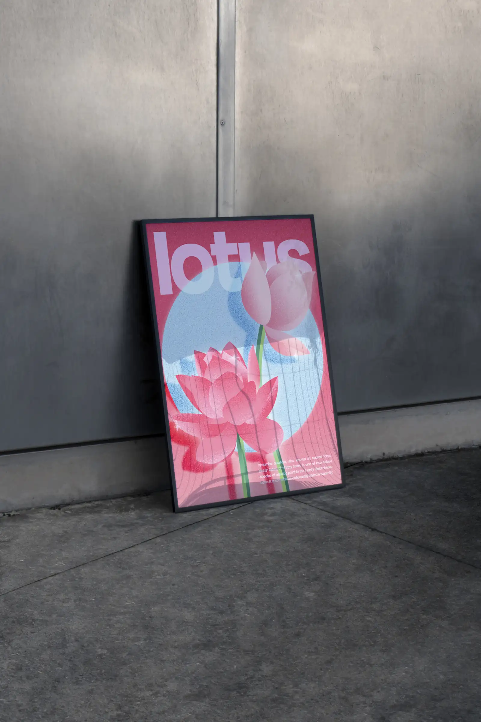 Framed lotus poster with a pink lotus flower leaning against a grey wall