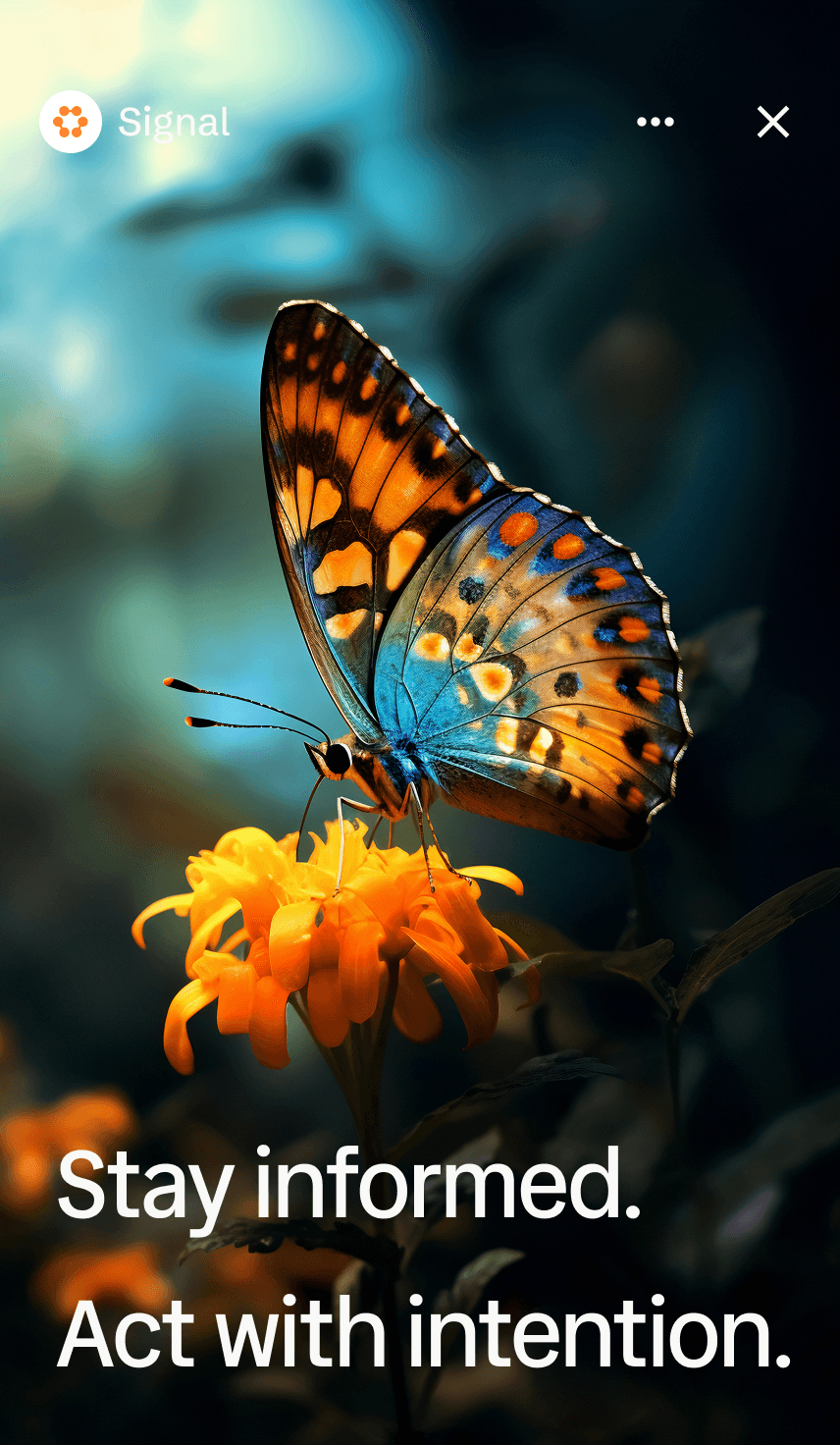 Reels Image