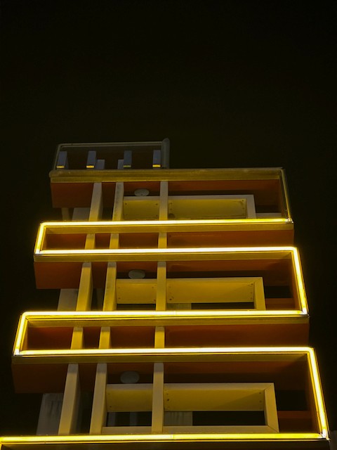 Close-up of joshua tree branches against a clear sky.