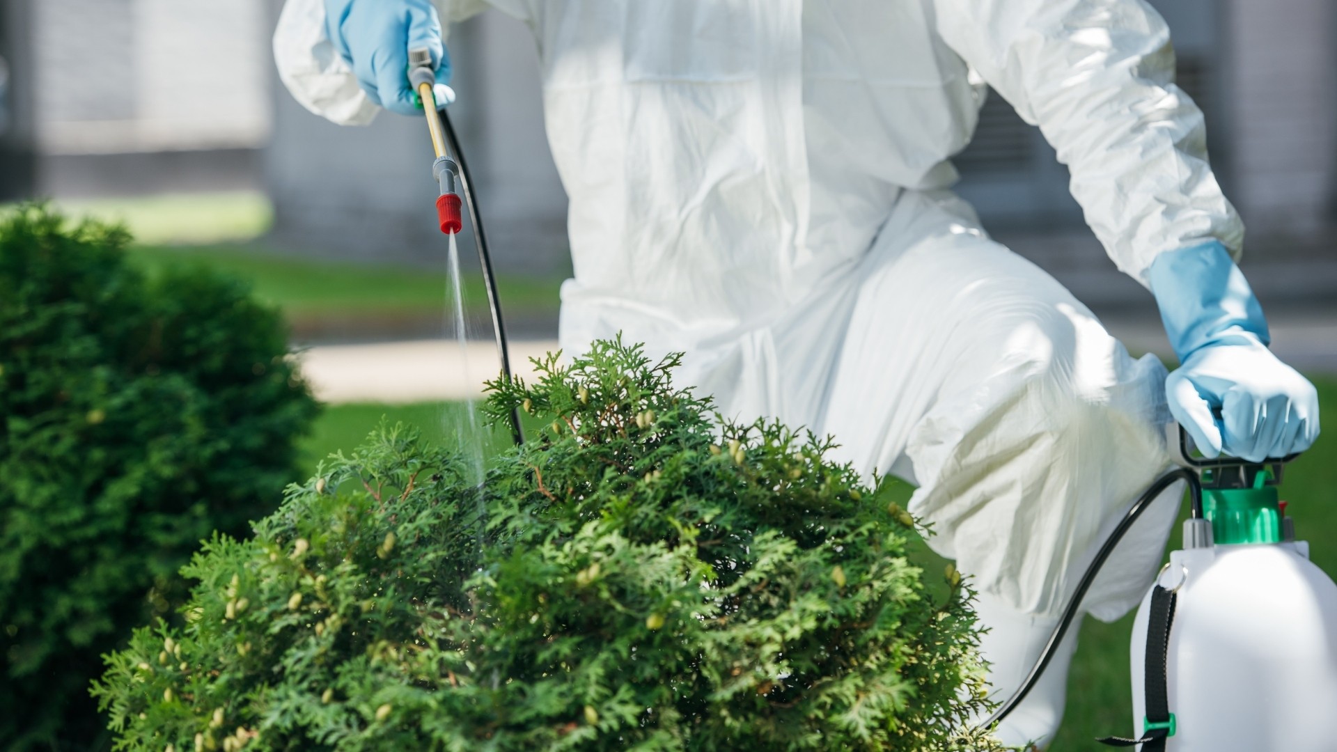 The 7 Core Principles of Pest & Disease Management