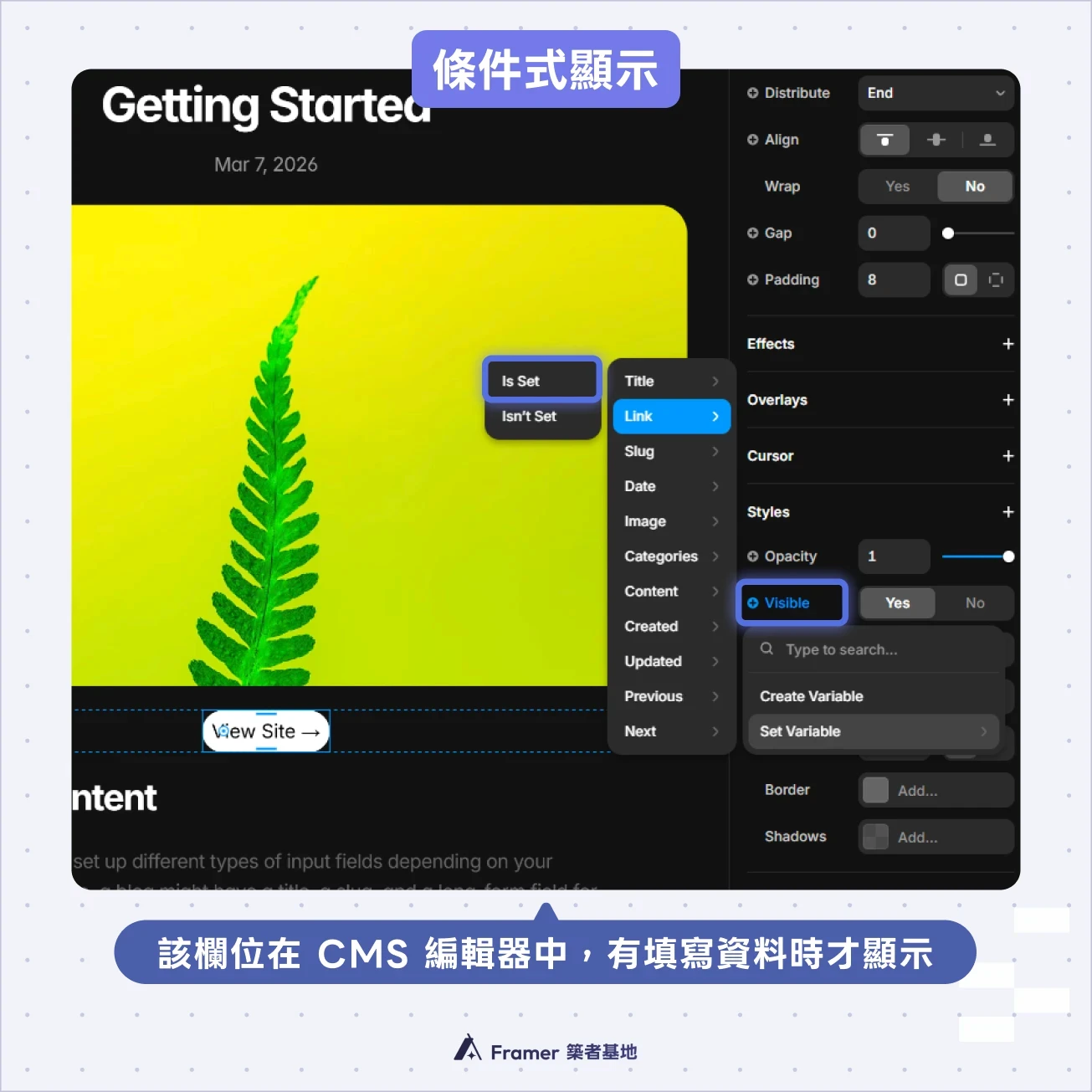 Framer Conditional Visibility 條件式顯示設定，依據 CMS 欄位是否填寫控制元素顯示截圖