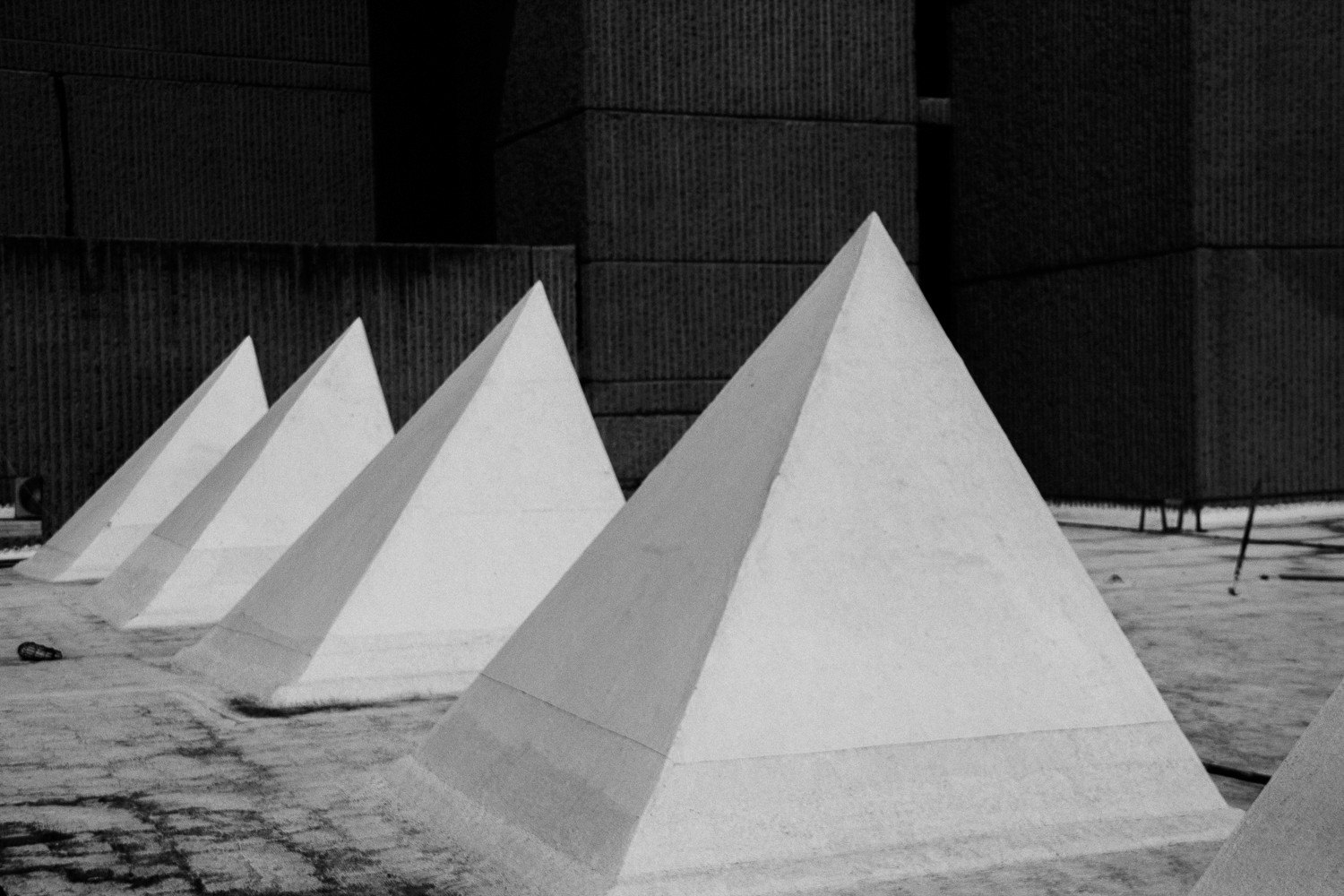 Photo by Renee G. Gudiño