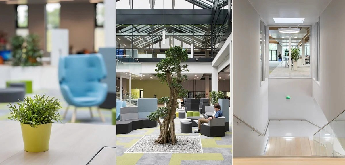 Espace détente végétalisé sous verrière — photographe aménagement intérieur Lille 2025 | Anteale Yann Manac’h