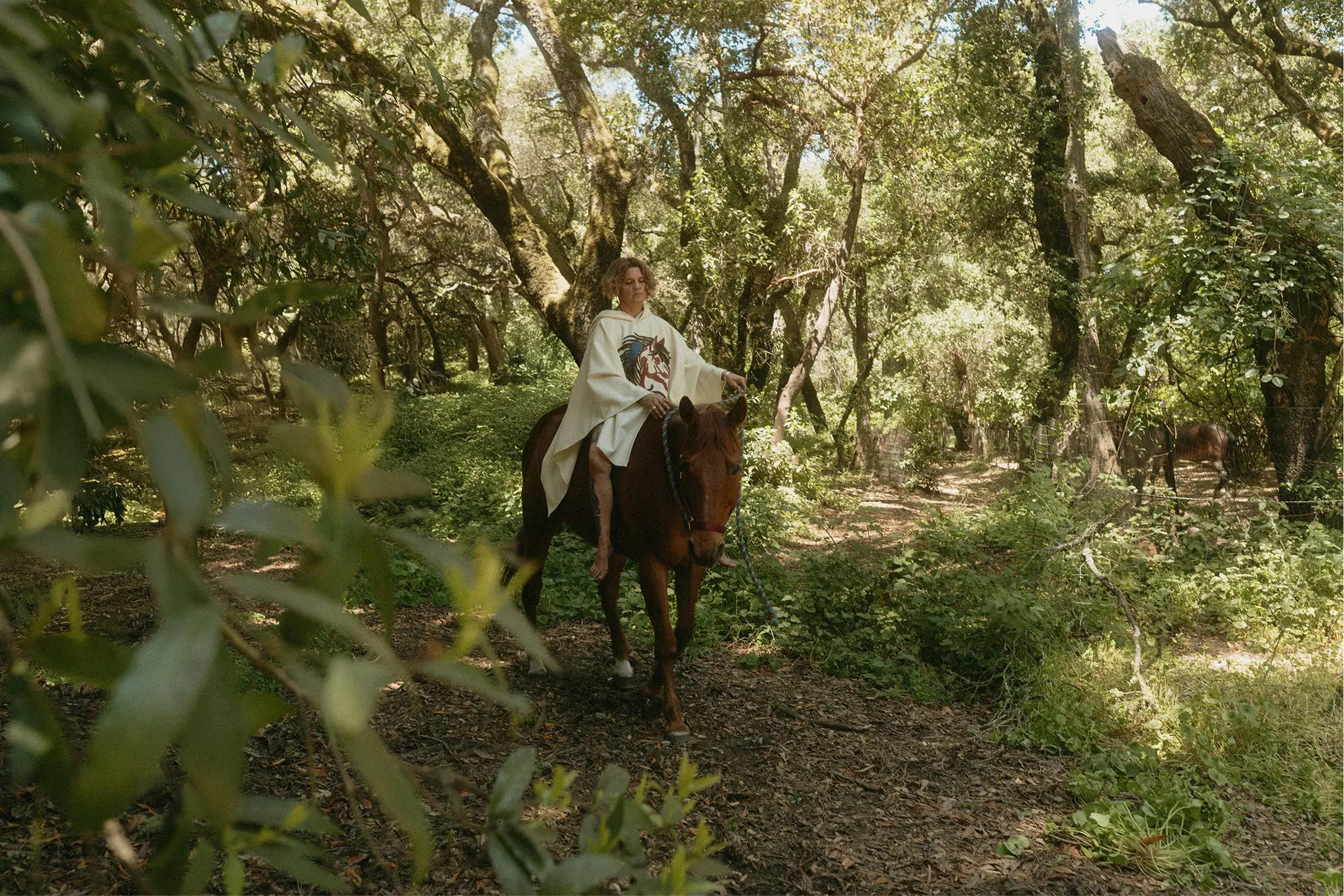 Person on horseback moving through a sunlit forest during a horse medicine session
