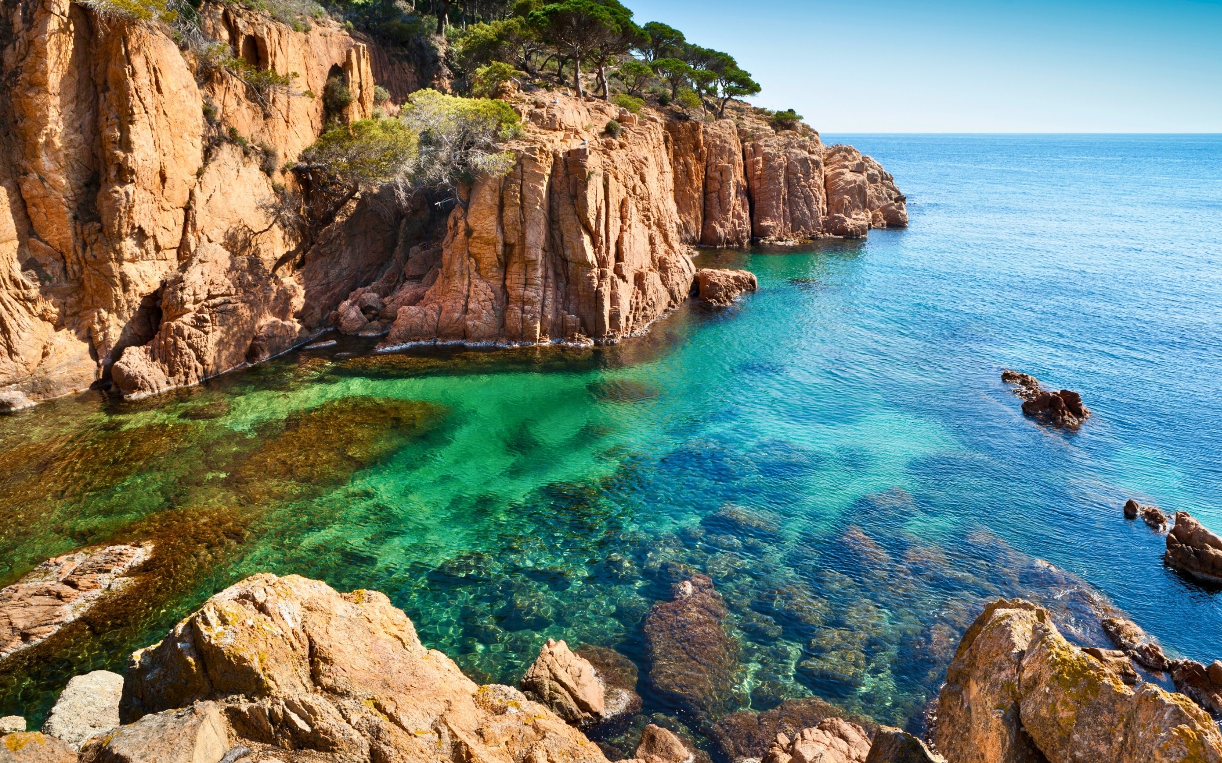 Cykelsemester i Moseldalen – på egen hand