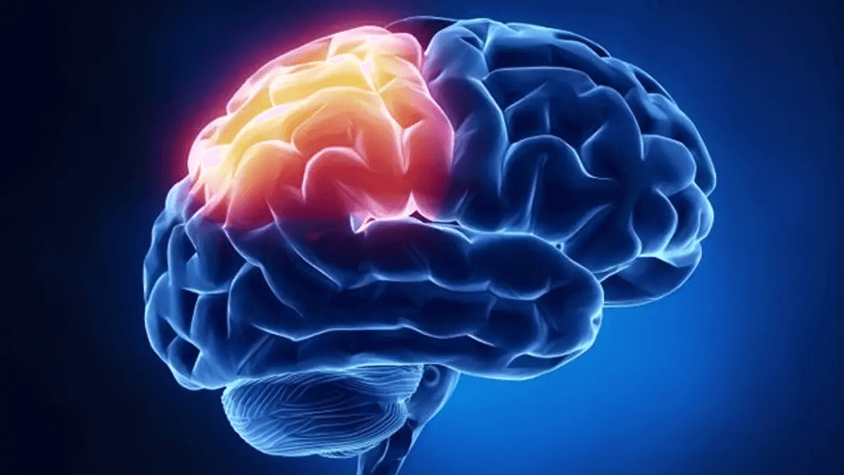 What Does Porn Do to Your Brain