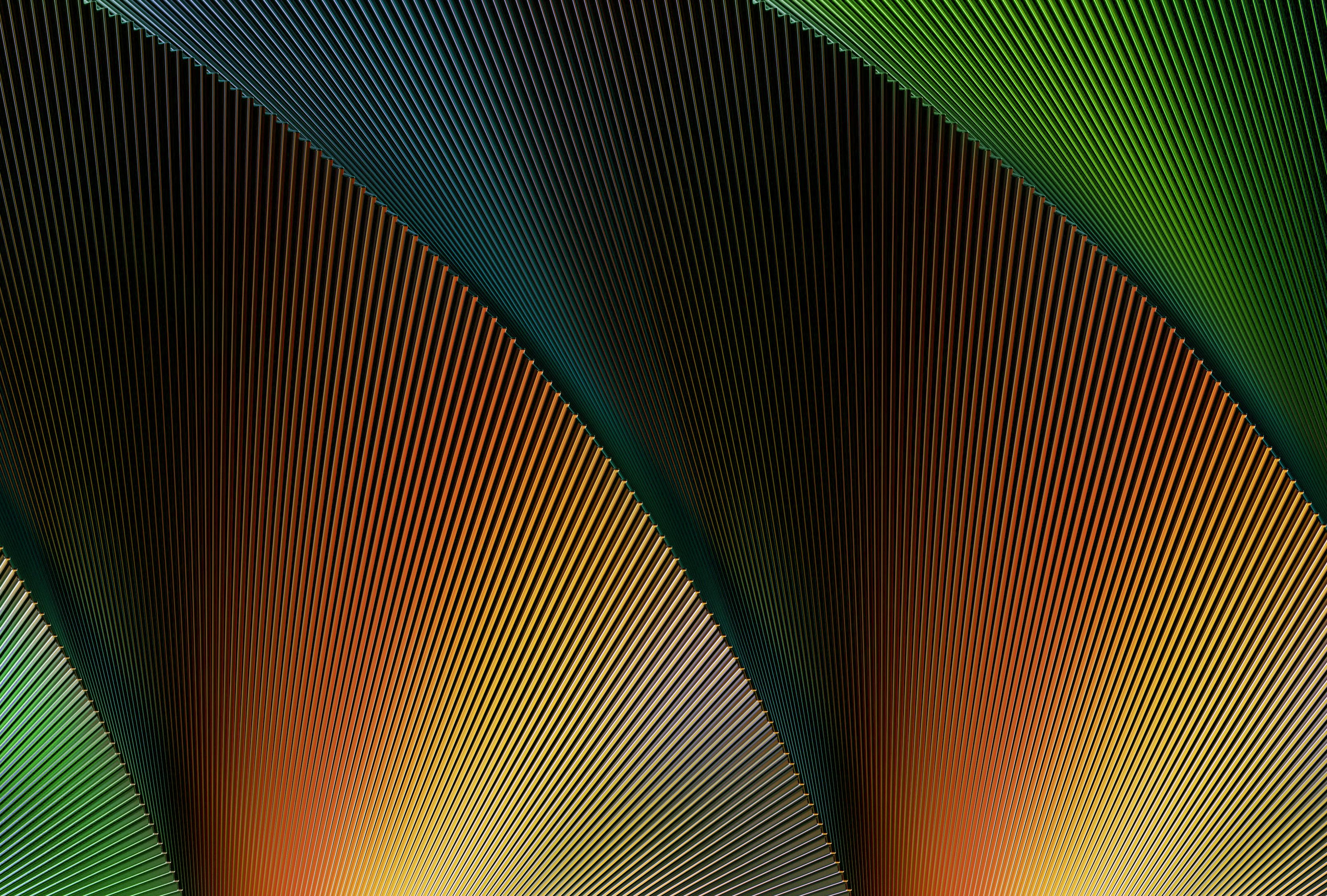 Dynamic picture of a cyclist riding downhill