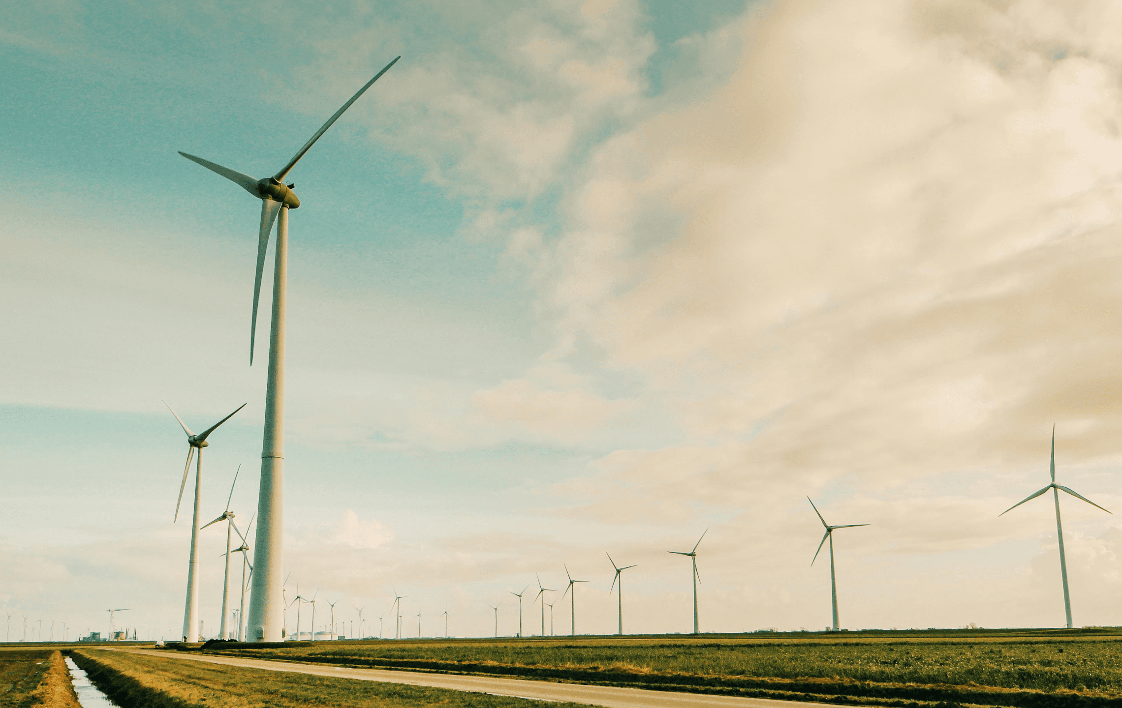 Wind turbines in field