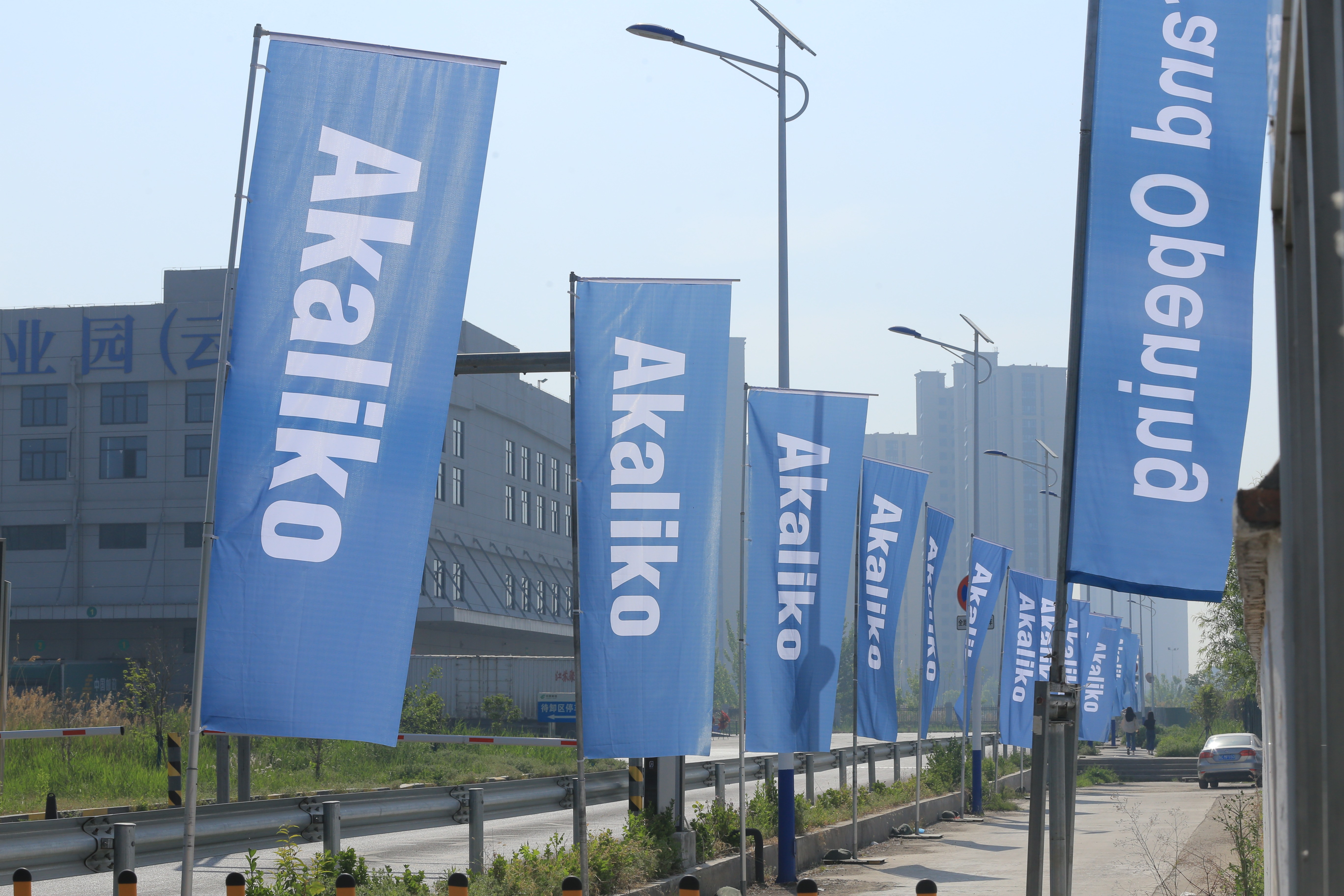Wind turbine towering over agricultural fields