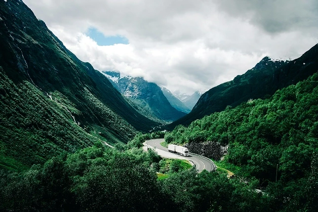aerial photography of car in forest
