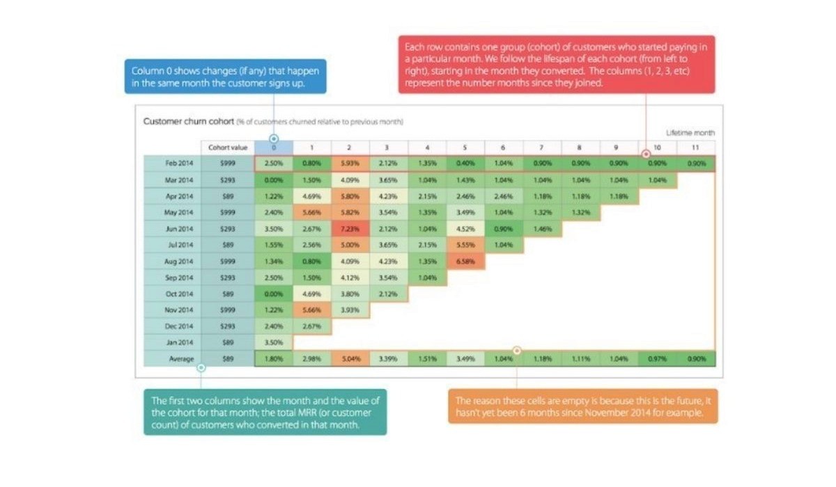  Cohort Analysis chart