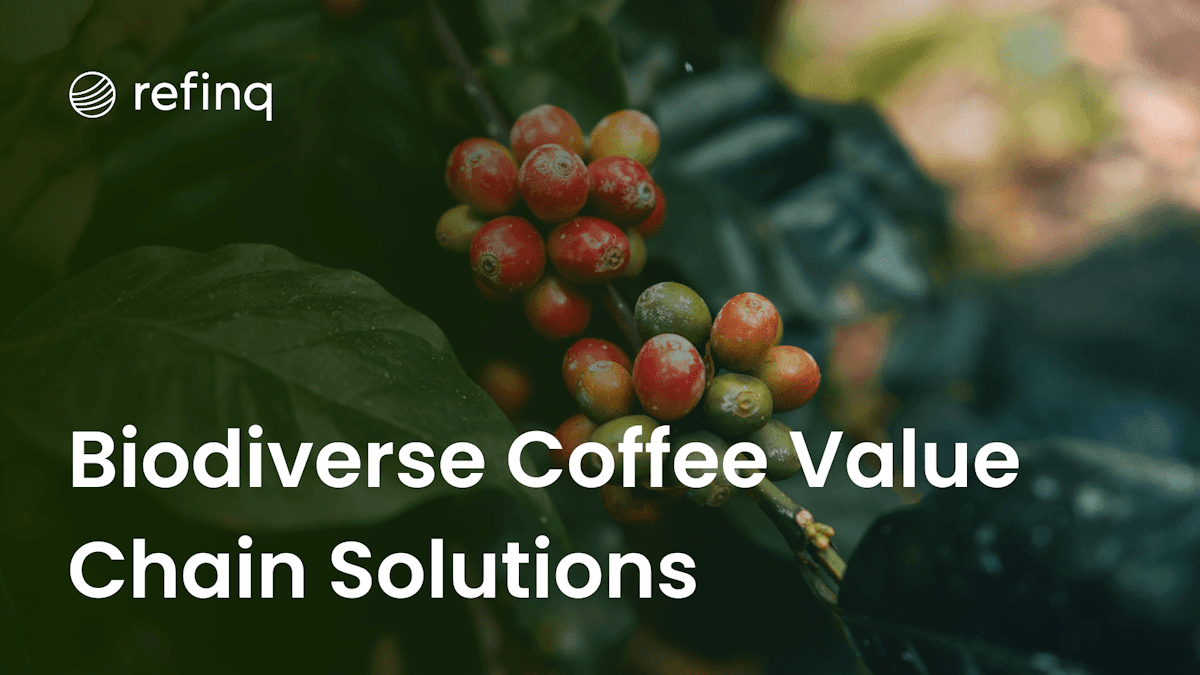 Biodiverse coffee value chain