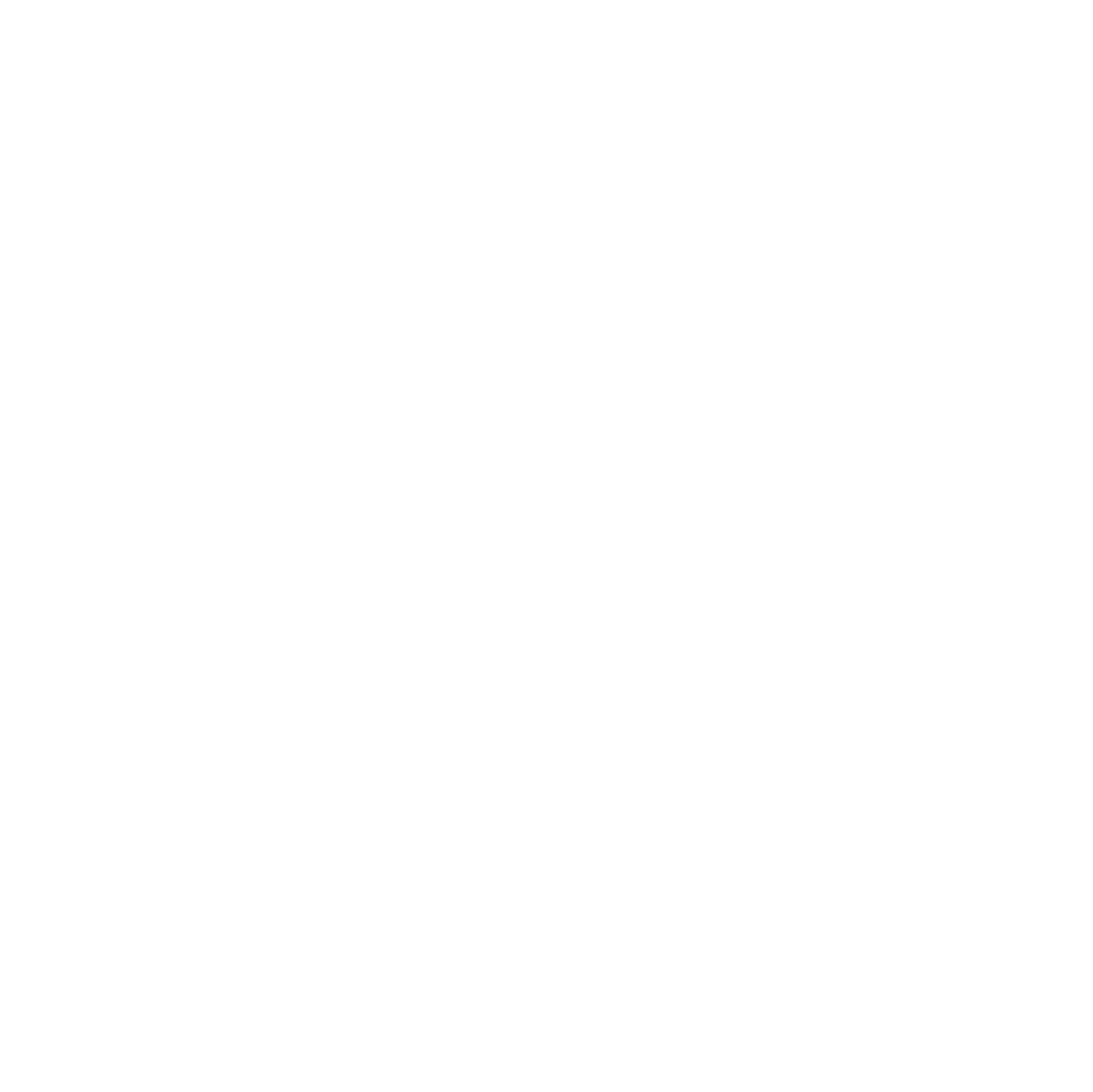 skills logo