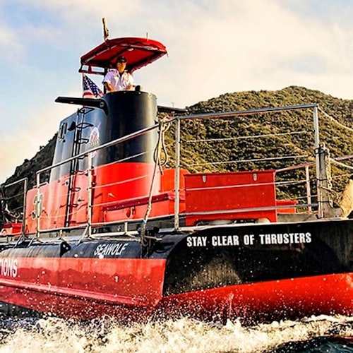 Catalina Island with Undersea Sub Adventure